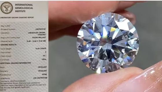 Le laboratoire lâche d'IGI a créé les diamants 16.63Carat VS1 autour de couleur d'E